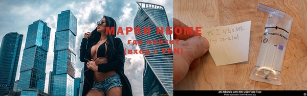 гидропоника Алзамай