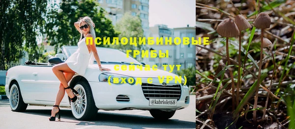 гидропоника Алзамай