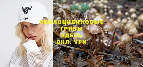 гидропоника Алзамай
