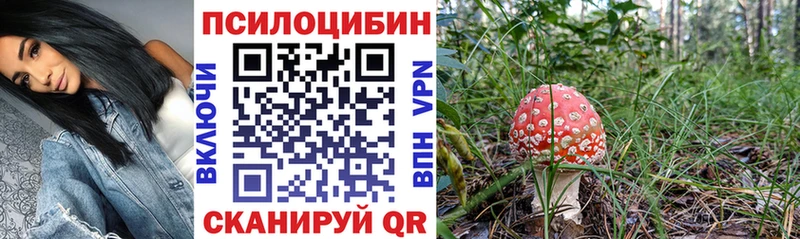 как найти наркотики  Апшеронск  Псилоцибиновые грибы прущие грибы 