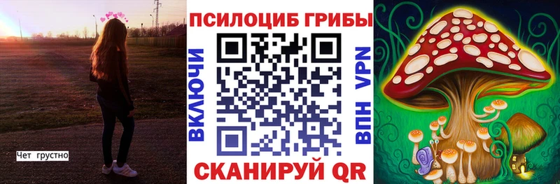Псилоцибиновые грибы Psilocybine cubensis Апшеронск